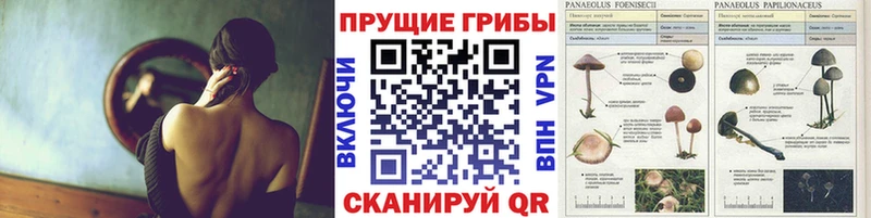 Галлюциногенные грибы Magic Shrooms Муром